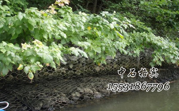 防洪固濱籠